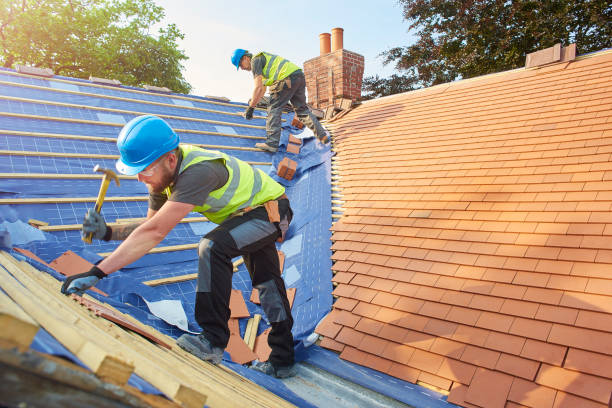 Best Roof Maintenance and Cleaning  in East Harwich, MA